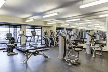 Fitness gym